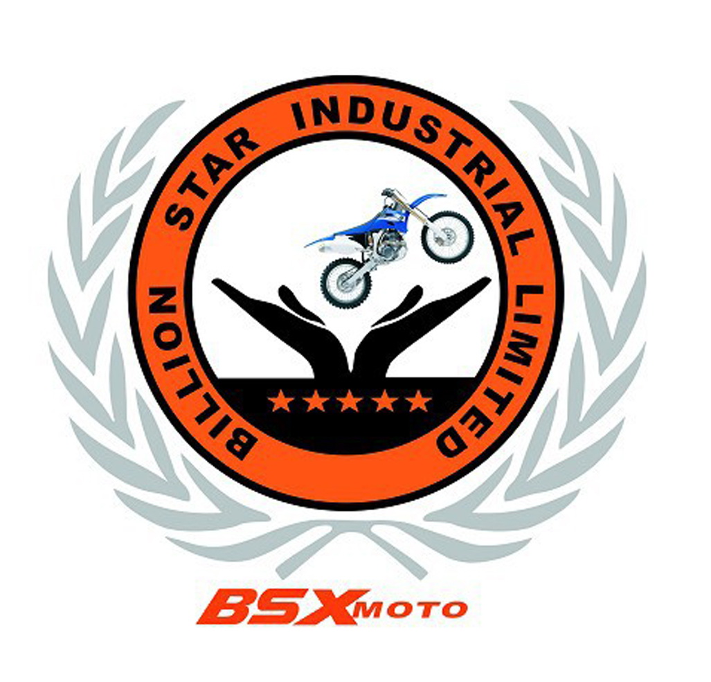 BILLION STAR INDUSTRIAL LIMITED facility