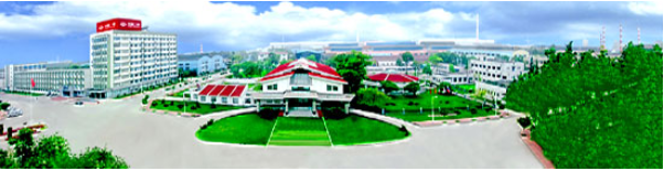 CHINA NATIONAL ERZHONG GROUP CO.