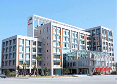 CHINA UNITED ENGINEERING CORPORATION Limited facility