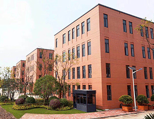 Chongqing Blue Jay Technology Co.,Ltd facility