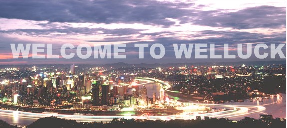 CHONGQING WELLUCK TRADING CO., LTD. facility