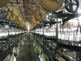 dalian kingtrust imp.&exp.co.,ltd facility