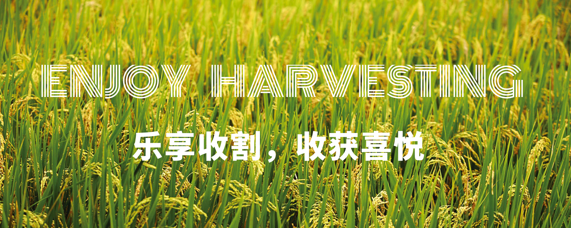 Deyang City JinXing Agricultural Machinery Manufacturing Co.,Ltd facility