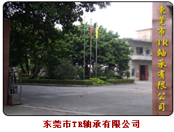 DONGGUAN BEARING FACTORY facility