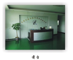 Dongguan Crown Power Laser Technology Co., Ltd. facility