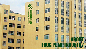 FROG PUMP INDUSTRY CO., Ltd facility