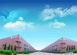 GEMSY HOLDING (GROUP) CO., LTD. facility