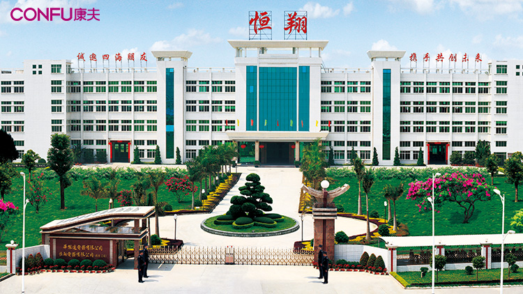 GUANGDONG HUANENGDA ELECTRICAPPLIANCES CO., LTD. facility