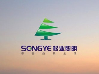 GUANGDONG SONGYE ELECTRICAL APPLIANCE MANUFACTURING CO.,LTD. facility