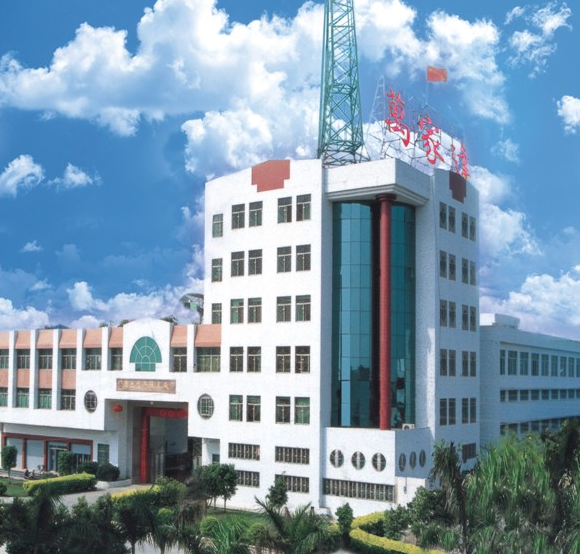 GUANGDONG WANJIADA FAMILY EXPENSES ELECTRICAL EQUIPMENT CO., LTD. facility