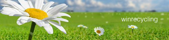 GUANGDONG WINNER ENVIRONMENTAL PROTECTION SCIENCE AND TECHNOLOGY CO.,LTD. facility
