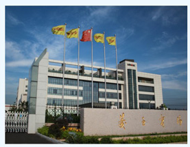 GUANGDONG WINONE ELEVATOR CO., LTD. facility