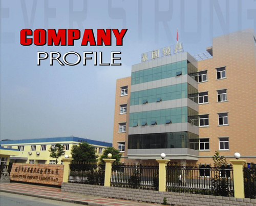 HAINING CITY EVER STRONG LOCKS & HARDWARE CO., LTD. facility