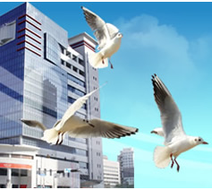 HANGZHOU DOOCH PUMP INDUSTRY CO., LTD. facility