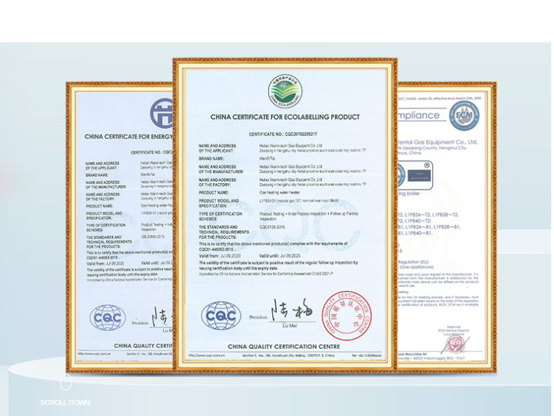 Hebei Wentai Group New Energy Co., Ltd.
