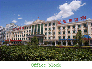 HEBEI XMF TOOLS GROUP CO.,LTD facility