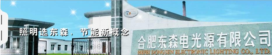 HEFEI DONGSEN ELECTRONIC LIGHTING CO., LTD. facility