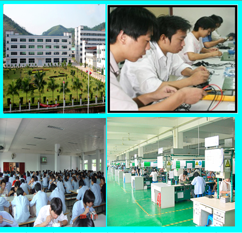 Huizhou Virtuous Electronics Co., Ltd. facility