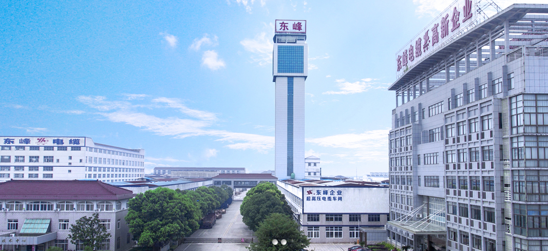 Jiangsu Dongfeng Cable Co., Ltd. facility