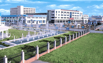 Jiangsu Feichi Co., Ltd. facility