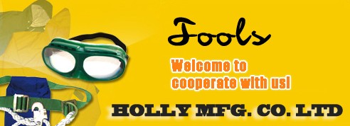 JIANGSU HOLLY MANUFACTURING CO.,LTD. facility