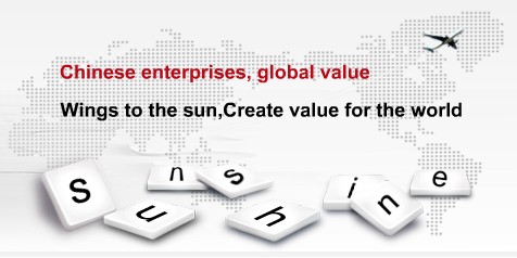 JIANGSU SUNSHINE DONGSHENG I/E CO.,LTD. facility
