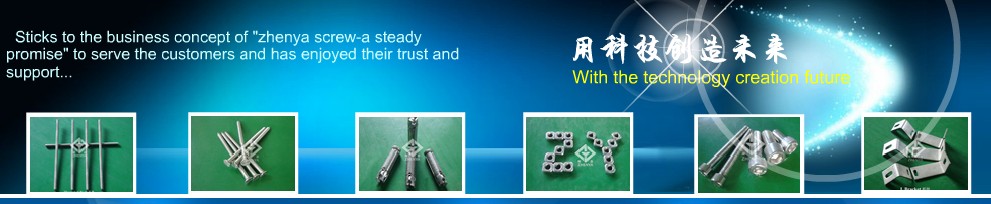Jiangsu Zhenya Special Screw Co., Ltd. facility