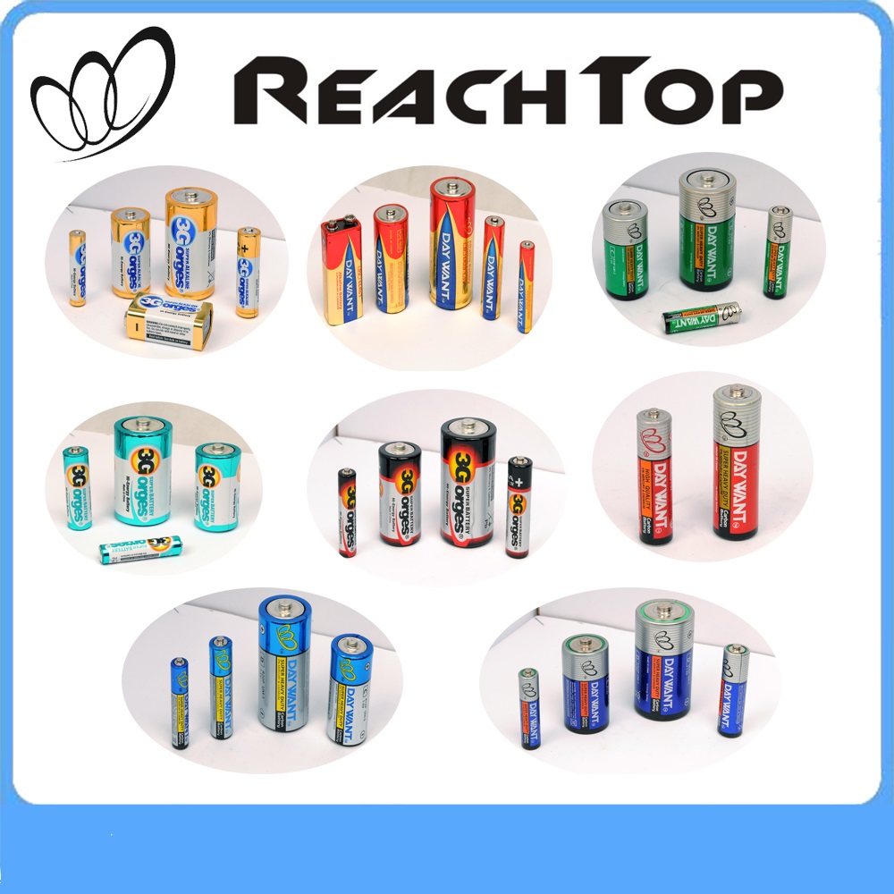 Jiaxing ReachTop Battery Power Technology Co.,Ltd facility