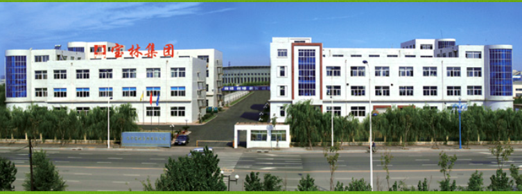 liao ning baolin group energy-saving technology co.,ltd facility