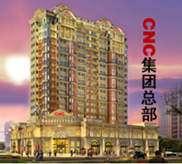 NEW CENTURY HOLDING GROUP LIMITED CORPORATION facility