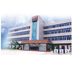 NEW NANFANG ELECTRICAL APPLIANCE CO., LTD.