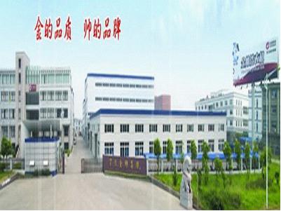 NINGBO KINGSUN GROUP CO., LTD.
