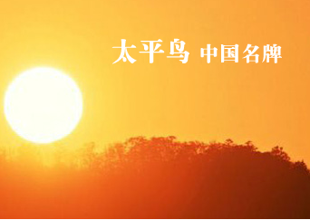 NINGBO PEACEBIRD IMP&EXP CO., LTD. facility