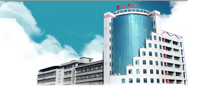 POWER MAX ELECTRIC CO., LTD. XINHUI facility