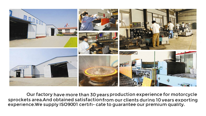 RENQIU YIJIN IMPORT AND EXPORT TRADE CO.,LTD