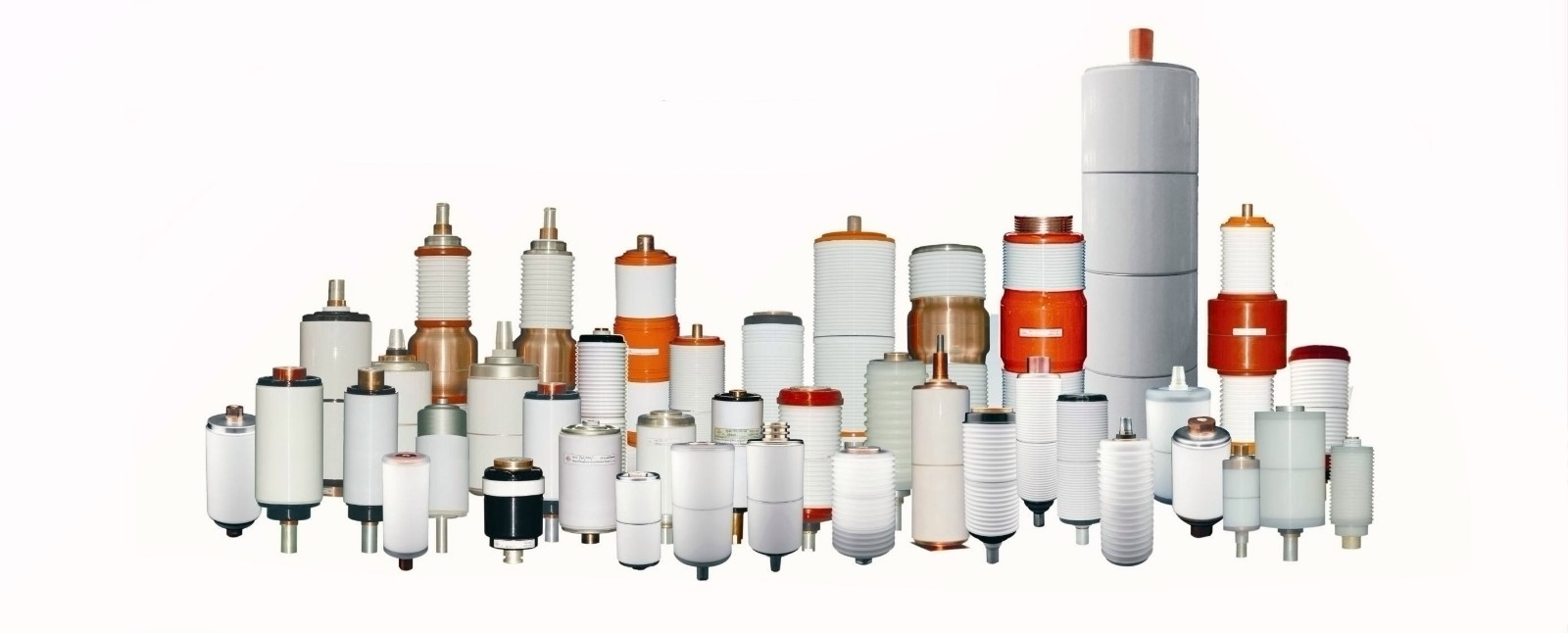 SHAANXI BAOGUANG IMPORT & EXPORT CO.,LTD facility