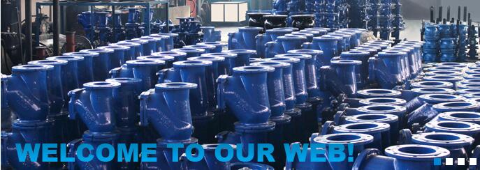 Shandong DS machinery co.,ltd facility