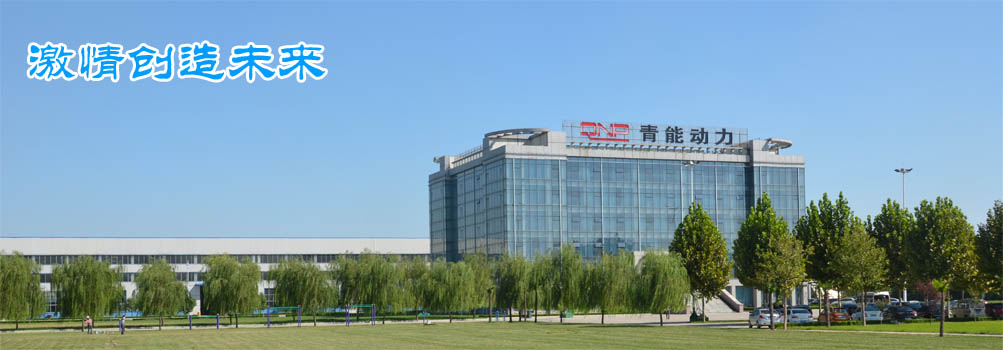 SHANDONG QINGNENG POWER CO., LTD. facility