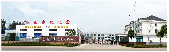 SHANDONG XINGYU GLOVES CO., LTD. facility