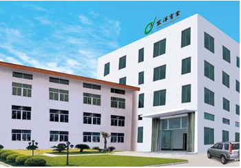 SHANTOU CHAOYANG AREA HONGYANG INDUSTRY CO.,LTD. facility
