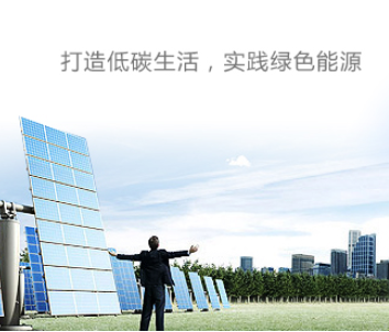 SHENZHEN COWINSOLAR COMPANY LIMITED facility