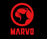 SHENZHEN MARK TECHNOLOGY CO., LTD. facility
