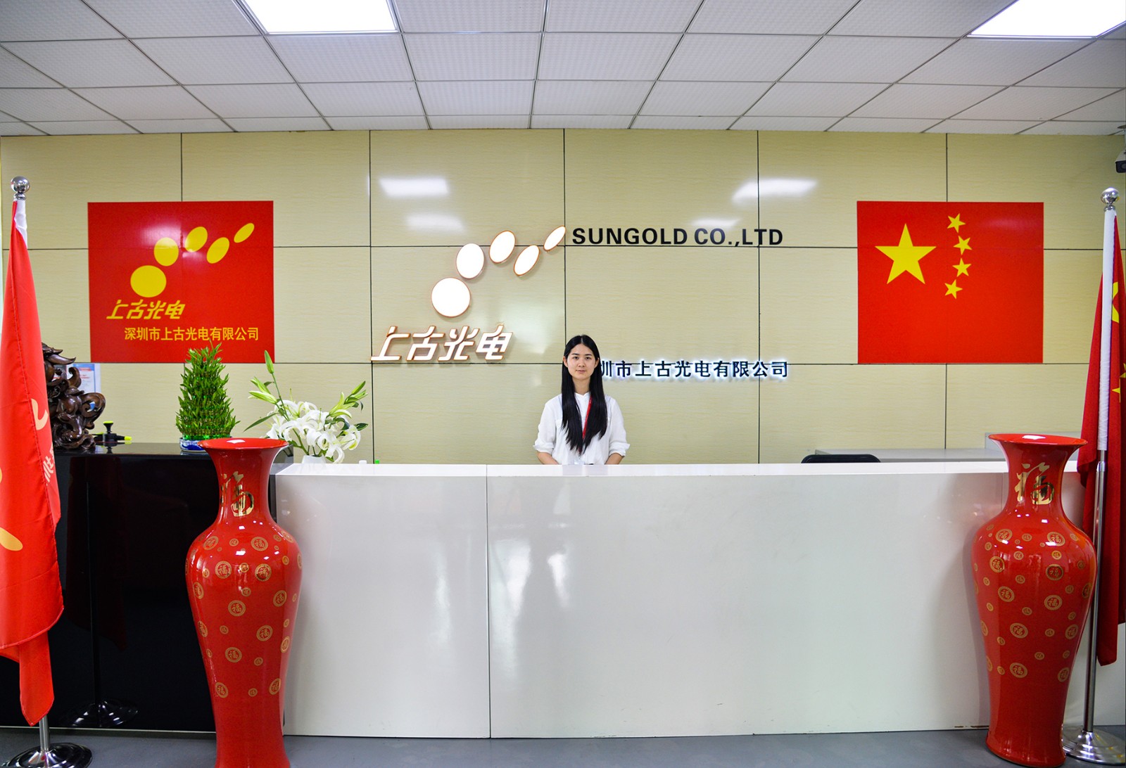 SHENZHEN SUNGOLD SOLAR CO.,LTD facility