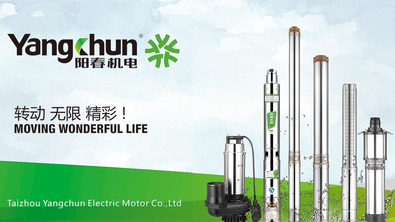 Taizhou Yangchun Electric Motor Co., Ltd.