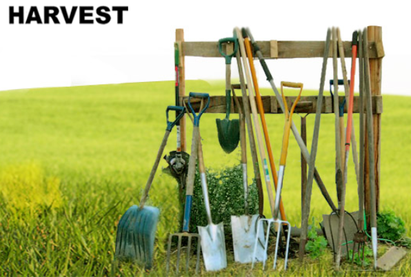 TANGSHAN HARVEST TOOL MANUFACTURE CO.,LTD. facility
