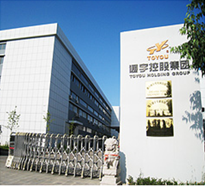 TOYOU GROUP (HOLDING) CO., LTD. facility