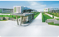 Vatti Corporation Limited facility
