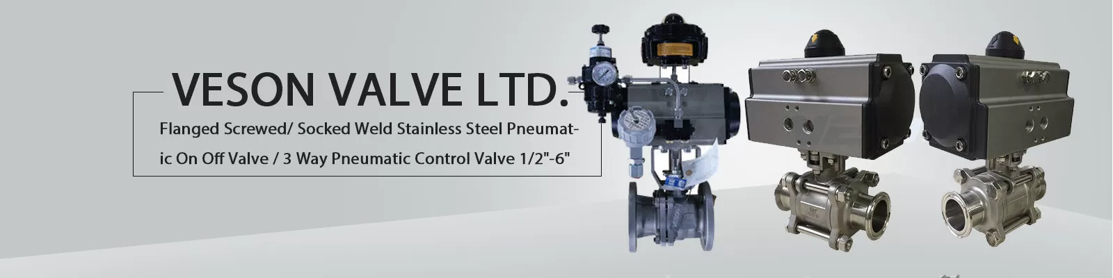 Veson Valve ltd. facility