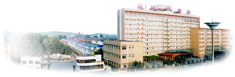 WAFANGDIAN BEARING GROUP CORP.LTD. facility