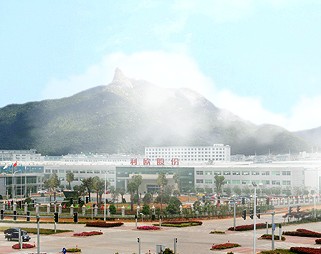 Wellsco International Group Co.,Ltd. facility
